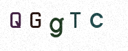Visual Confirmation Security Code