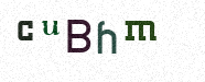 Visual Confirmation Security Code